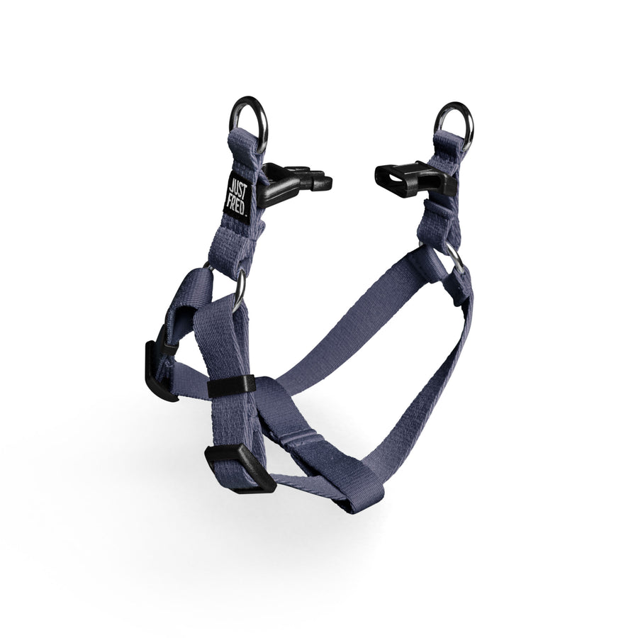 Step In Harness. – JUST FRED.