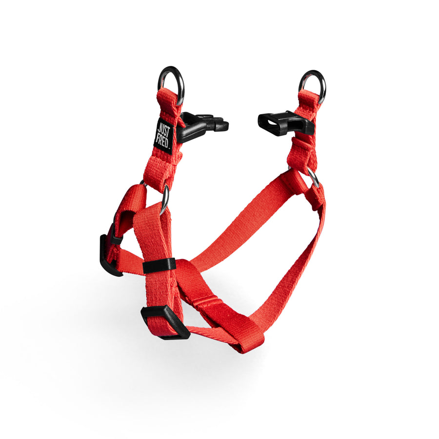 Step In Harness.