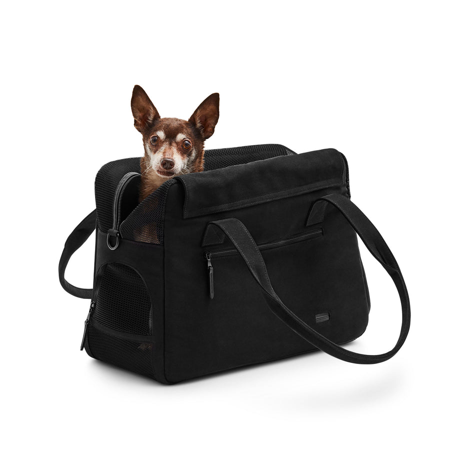 PSK PET MART Pet Carrier Travel Tote Bag for Dog/Cat/Puppy Lightweight  Luxury Folding Airplane Bag with Soft Cushion, Portable/Folding L x W x H  15”x 6.5